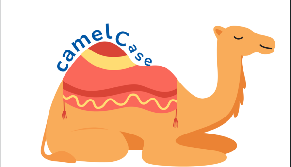 So sánh camel case với các chuẩn đặt tên khác trong javascript (pascal case, snake_case)