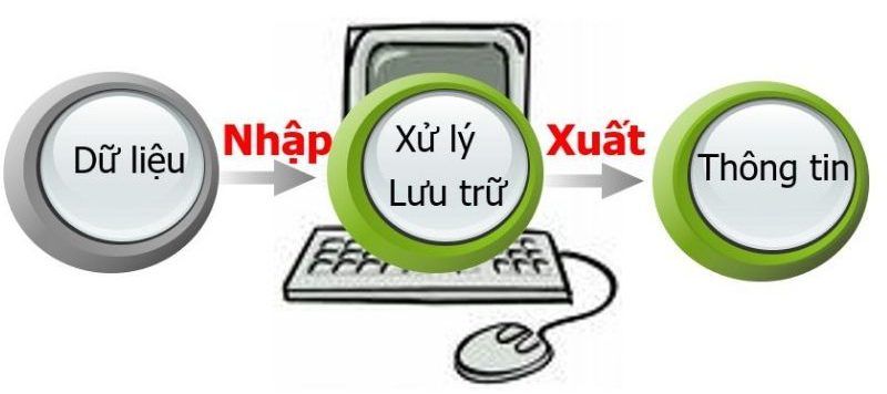 Hiểu input như một cầu nối giữa con người và máy tính