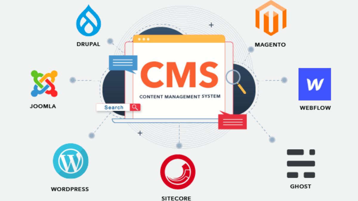 Top 7 hệ thống CMS phổ biến nhất năm 2025