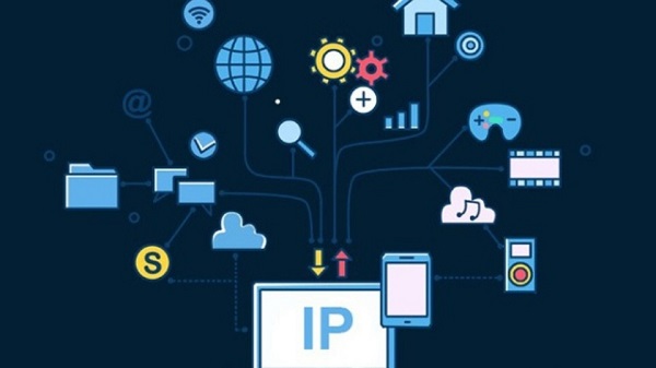 Vai trò & Ứng dụng của IP Public trong thực tiễn